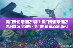 澳门新葡京酒店總房數-澳门新葡京酒店总房数深度解析-澳门新葡京酒店總房數