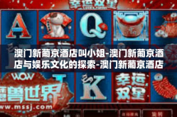 澳门新葡京酒店叫小姐-澳门新葡京酒店与娱乐文化的探索-澳门新葡京酒店叫小姐
