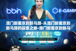 澳门新葡京到新马路-从澳门新葡京到新马路的探索之旅-澳门新葡京到新马路