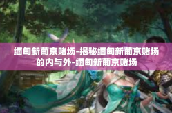 缅甸新葡京赌场-揭秘缅甸新葡京赌场的内与外-缅甸新葡京赌场