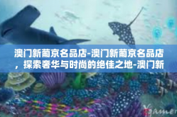 澳门新葡京名品店-澳门新葡京名品店，探索奢华与时尚的绝佳之地-澳门新葡京名品店