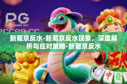 新葡京反水-新葡京反水现象，深度解析与应对策略-新葡京反水