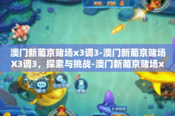 澳门新葡京赌场x3调3-澳门新葡京赌场X3调3，探索与挑战-澳门新葡京赌场x3调3