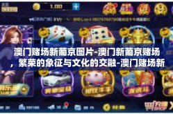 澳门赌场新葡京图片-澳门新葡京赌场，繁荣的象征与文化的交融-澳门赌场新葡京图片
