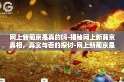 网上新葡京是真的吗-揭秘网上新葡京真相，真实与否的探讨-网上新葡京是真的吗