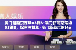 澳门新葡京赌场x3调3-澳门新葡京赌场X3调3，探索与挑战-澳门新葡京赌场x3调3