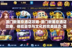 澳门新葡京酒店攻略-澳门新葡京酒店攻略，体验豪华与文化的完美融合-澳门新葡京酒店攻略