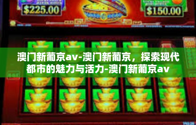 澳门新葡京av-澳门新葡京，探索现代都市的魅力与活力-澳门新葡京av
