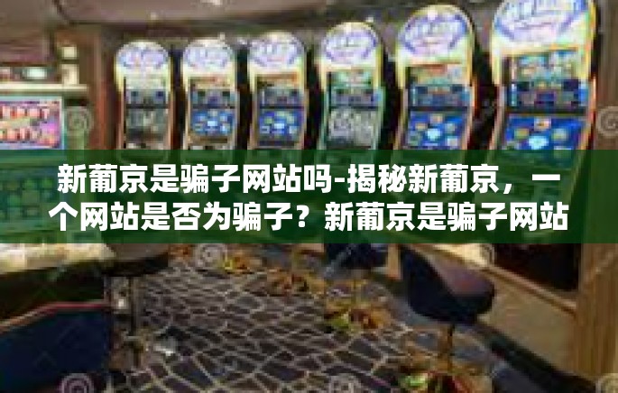 新葡京是骗子网站吗-揭秘新葡京，一个网站是否为骗子？新葡京是骗子网站吗